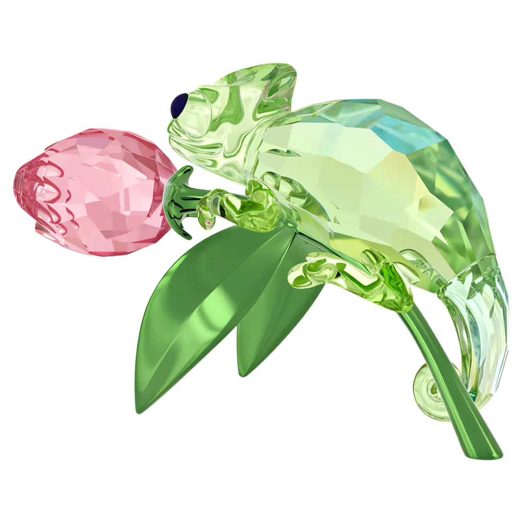 Idyllia Chameleon and Tulip 5719811