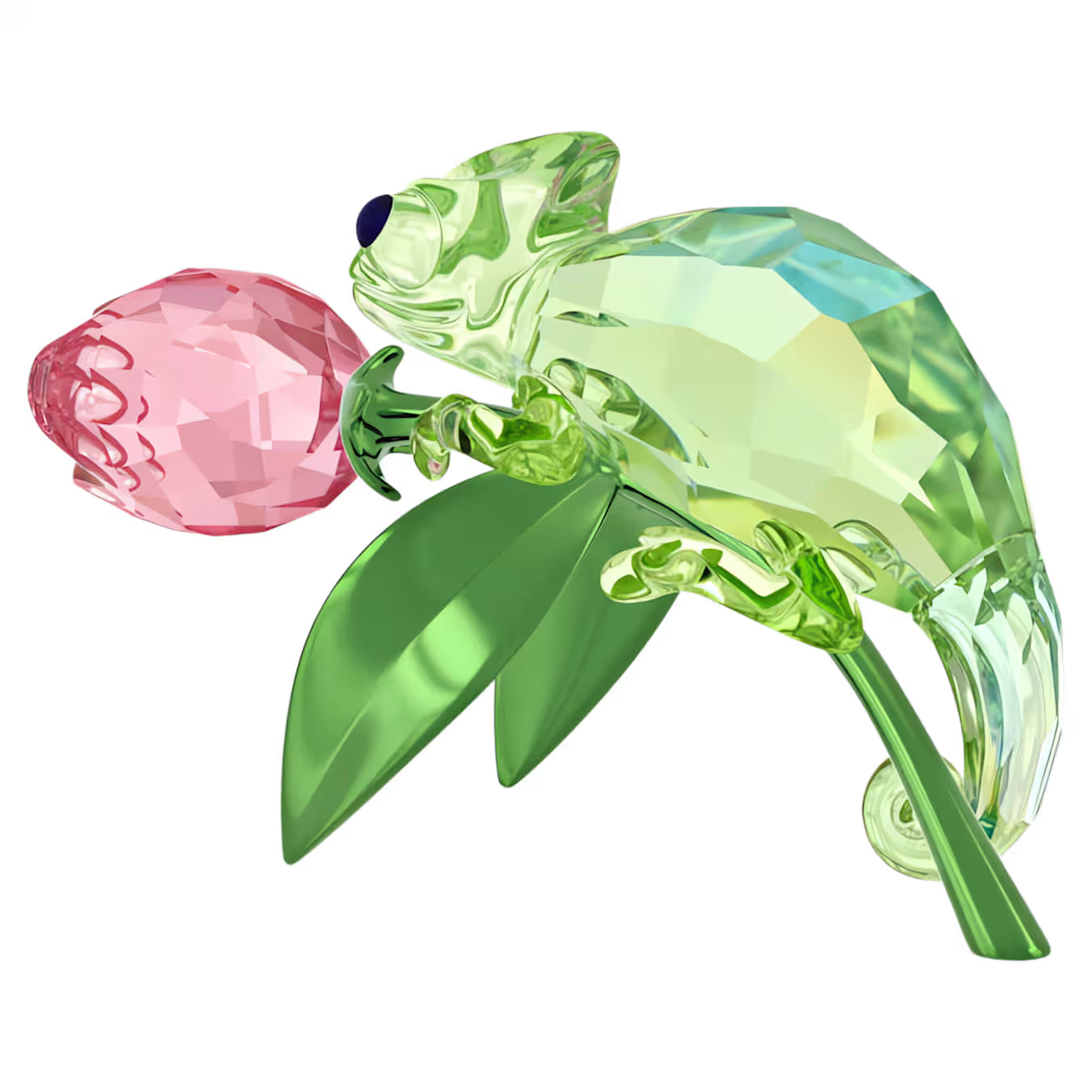 Idyllia Chameleon and Tulip 5719811