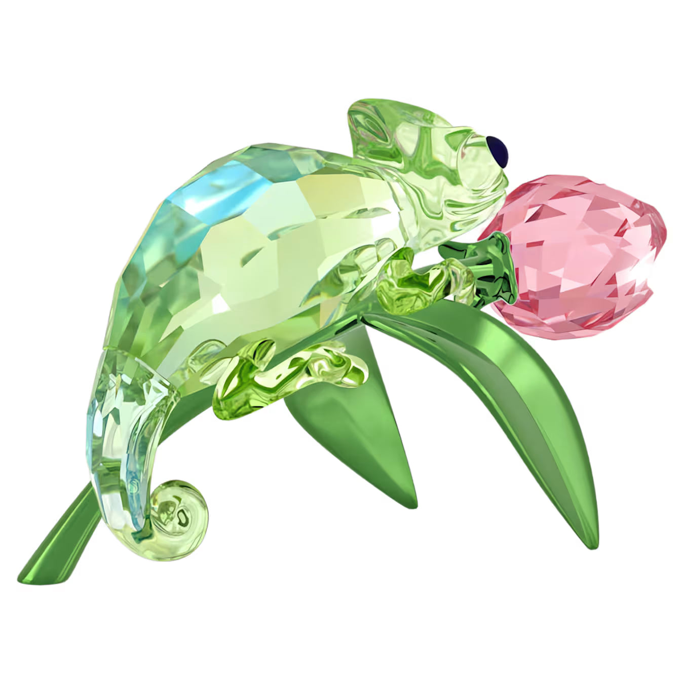 Idyllia Chameleon and Tulip 5719811