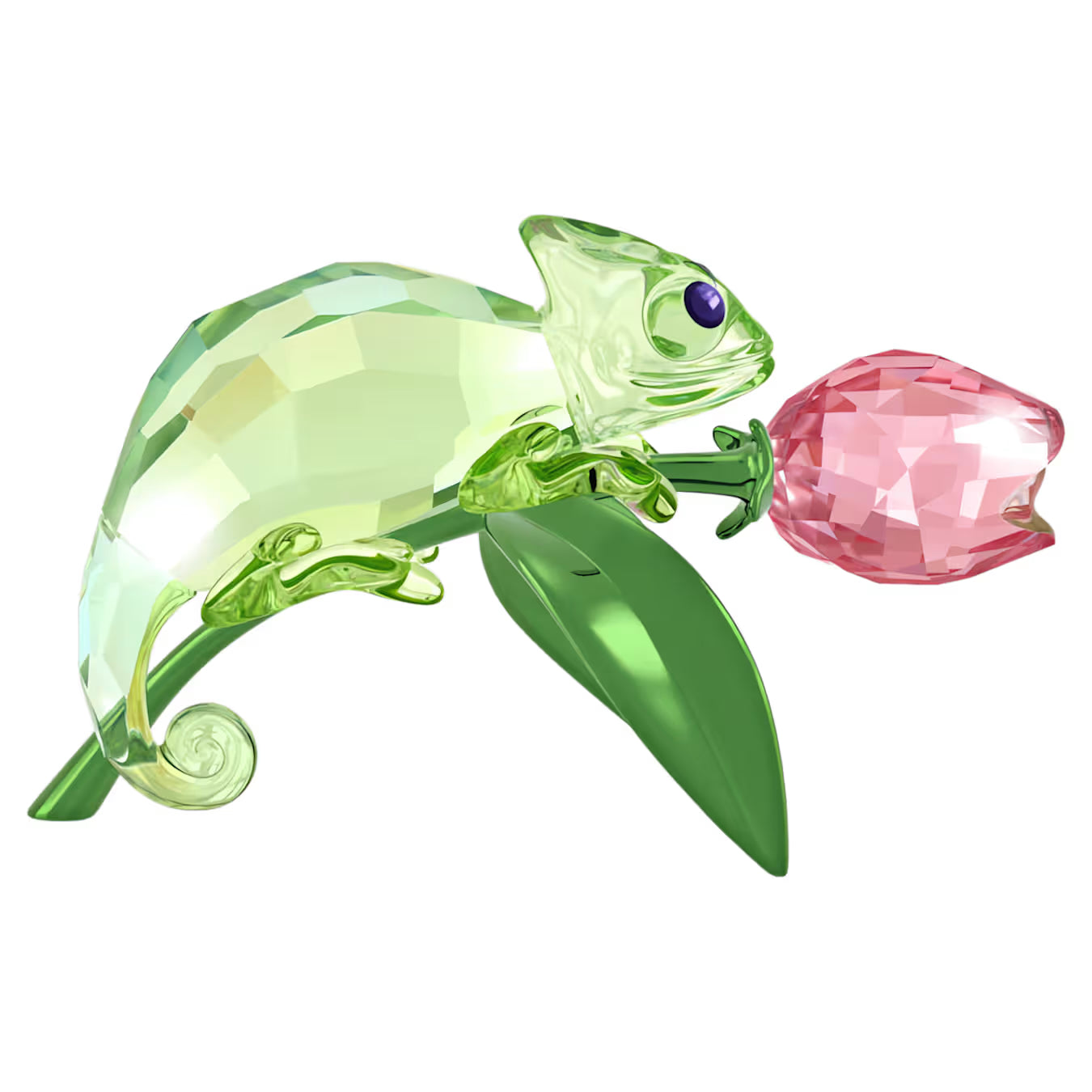 Idyllia Chameleon and Tulip 5719811