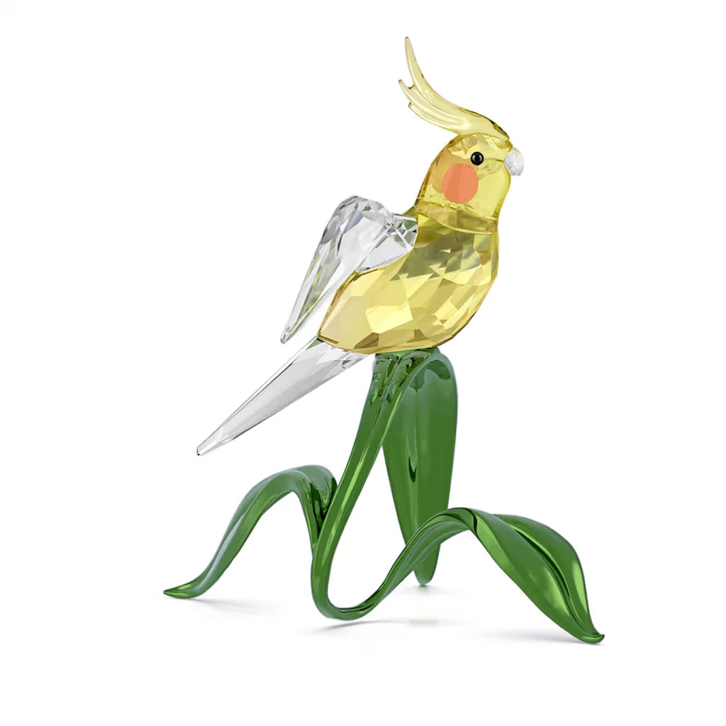 Idyllia Cockatiel 5721544