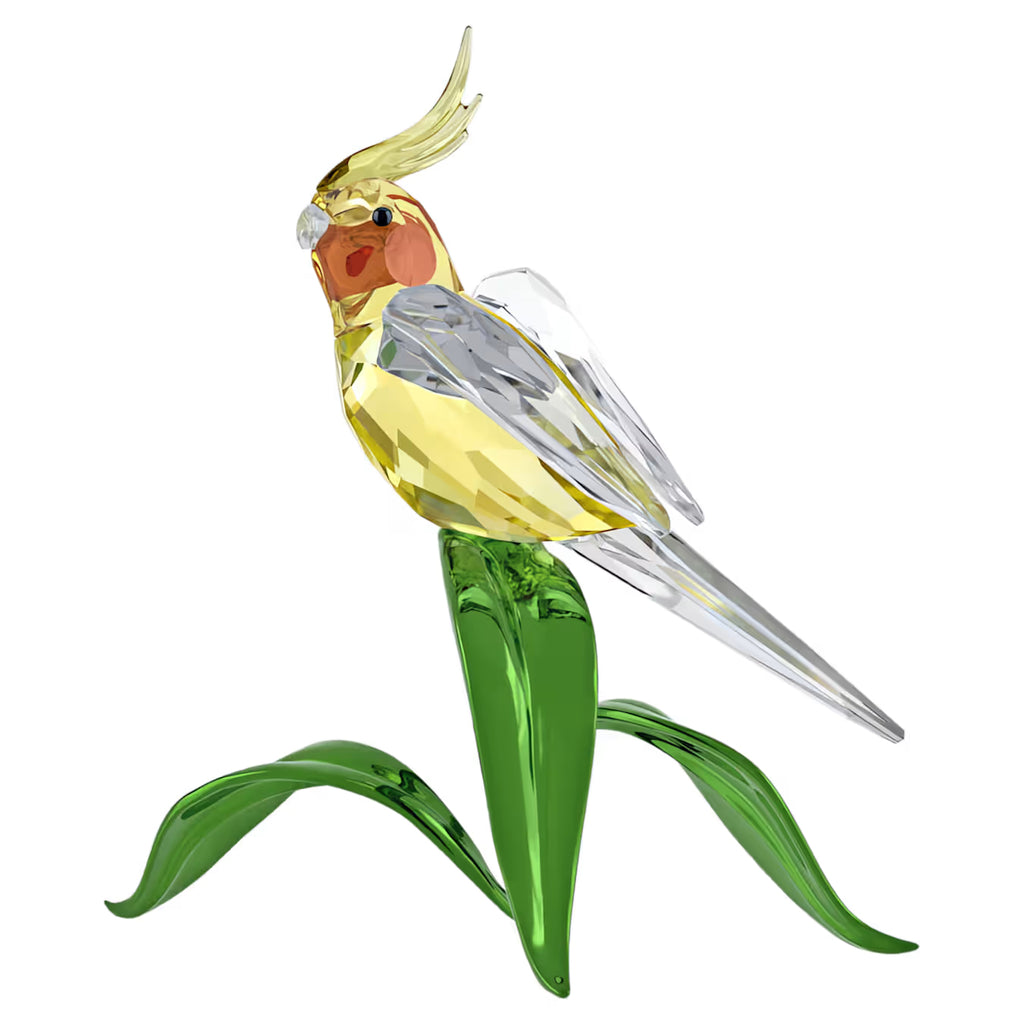 Idyllia Cockatiel 5721544