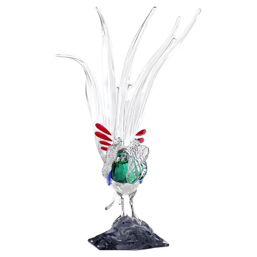Idyllia SCS Annual Edition 2026 Lady Amherst’s Pheasant 5718276