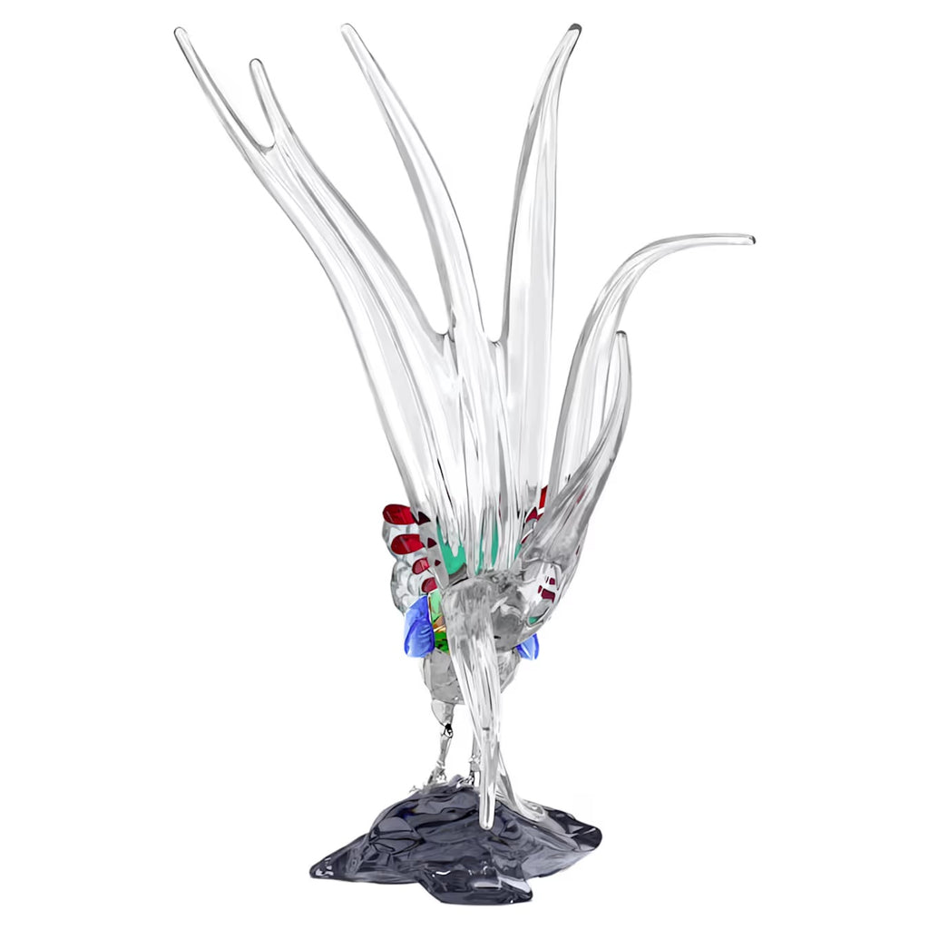 Idyllia SCS Annual Edition 2026 Lady Amherst’s Pheasant 5718276