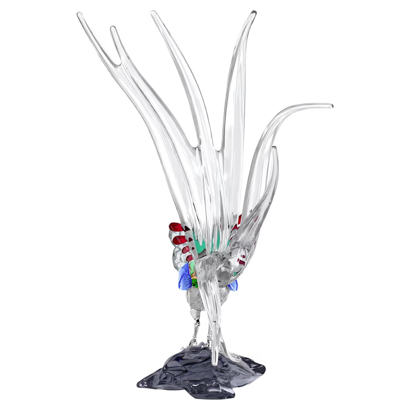 Idyllia SCS Annual Edition 2026 Lady Amherst’s Pheasant 5718276