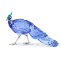 Idyllia SCS Palawan Peacock-Pheasant 5717851
