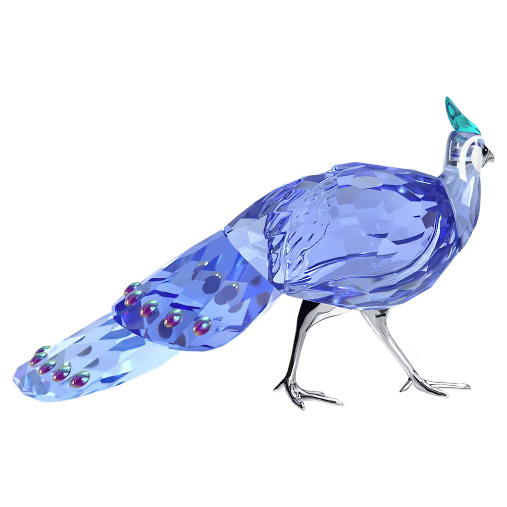 Idyllia SCS Palawan Peacock-Pheasant 5717851