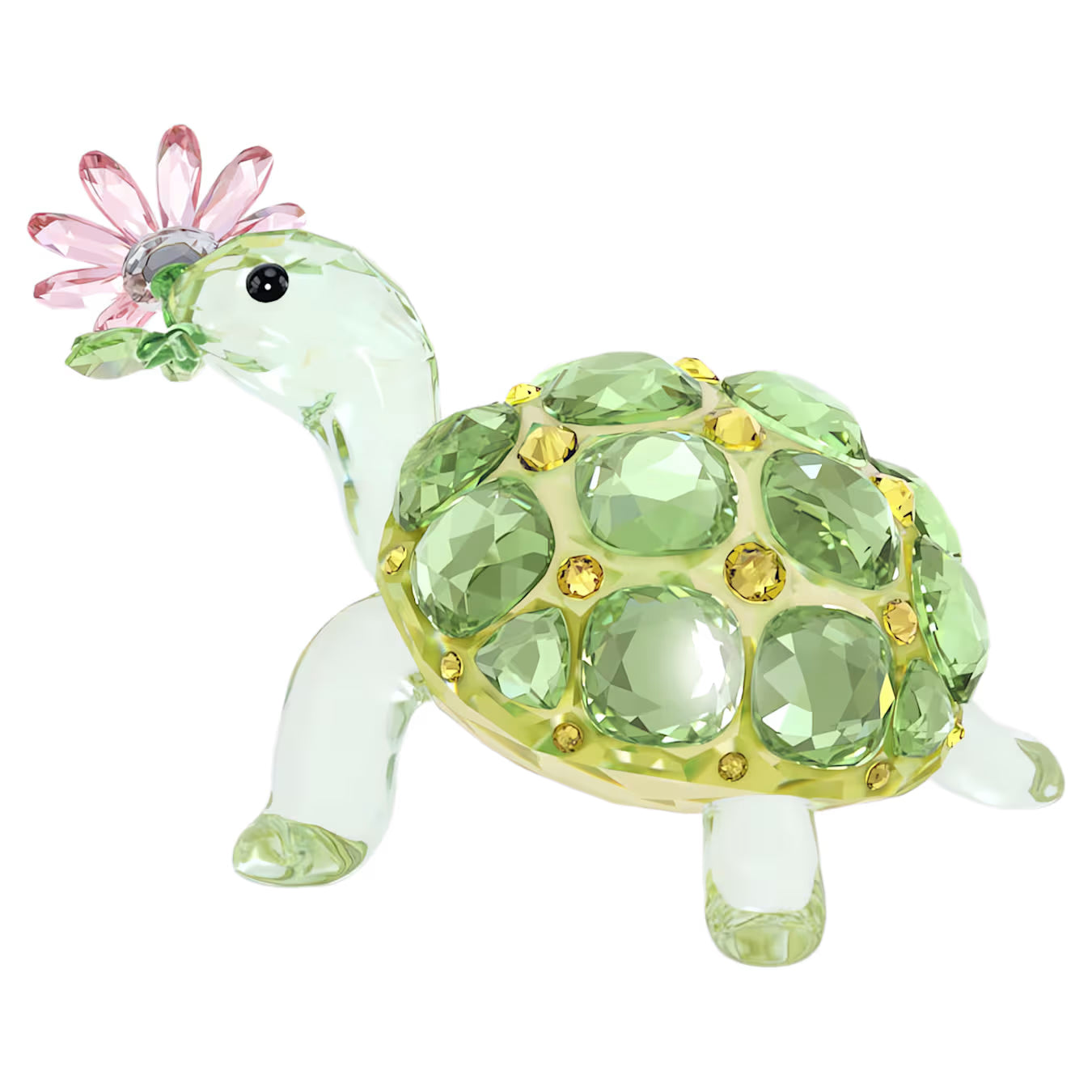 Idyllia Tortoise and Daisy 5721542