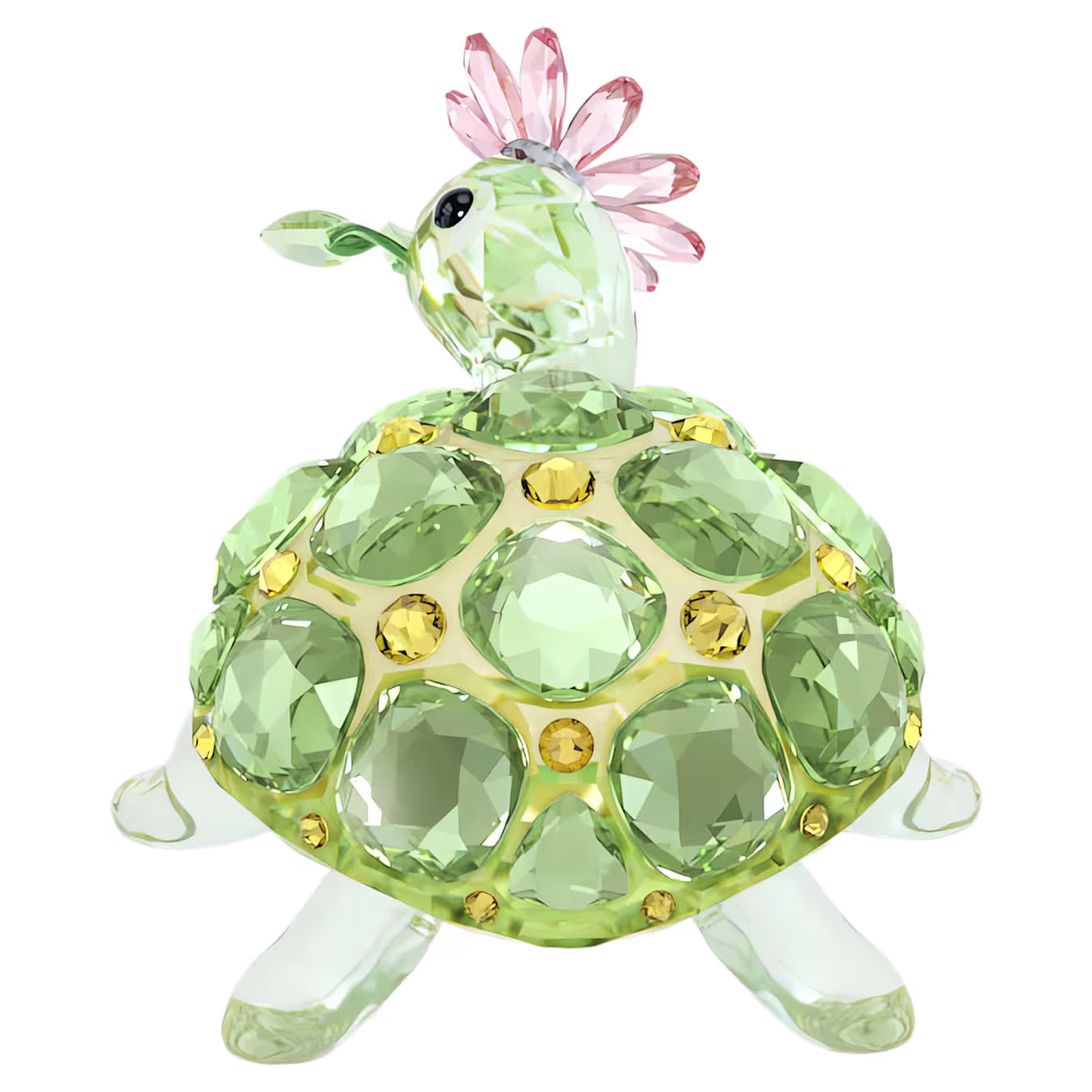 Idyllia Tortoise and Daisy 5721542