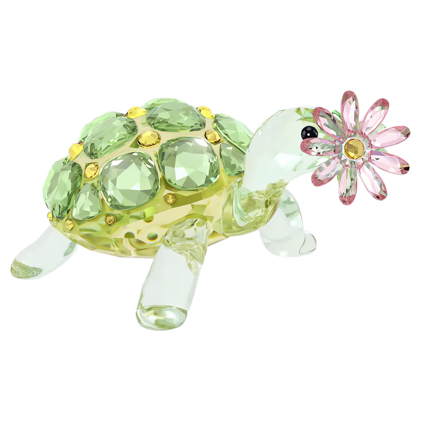 Idyllia Tortoise and Daisy 5721542
