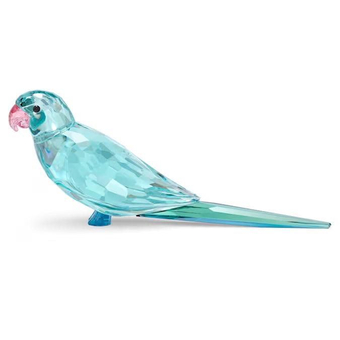 Jungle Beats Blue Parakeet Paco 5574519
