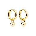 Amore Yellow Gold Hoop Earrings e7127