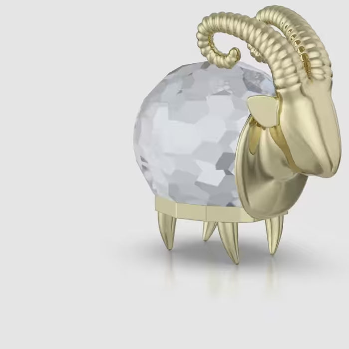 Zodiac Capricorn 5678078