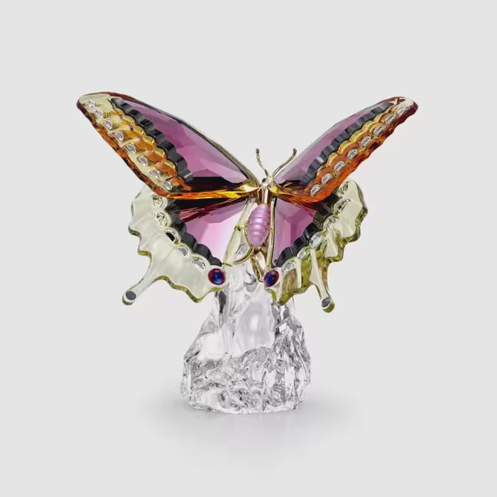 Idyllia Butterfly 5650796
