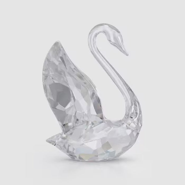 Signum Swan, Small