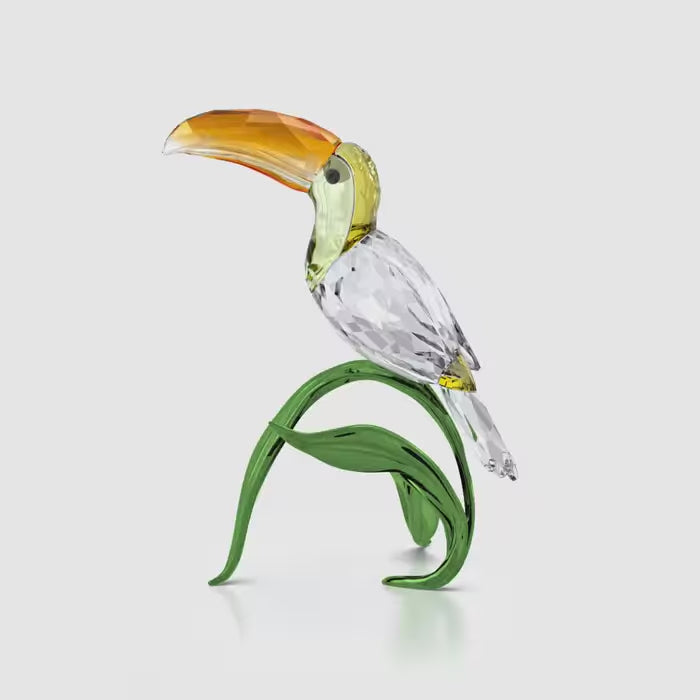 Idyllia Toucan 5693142