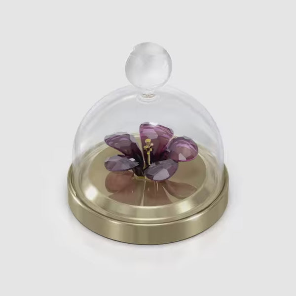 Garden Tales Hibiscus Bell Jar, Small