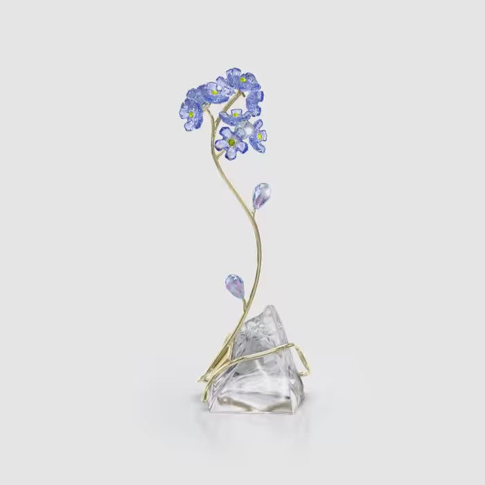 Florere Forget-me-not 5666971