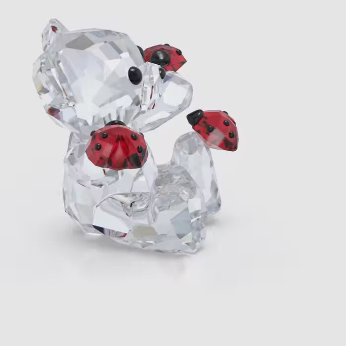 Kris Bear : Good Luck Bear 5675983