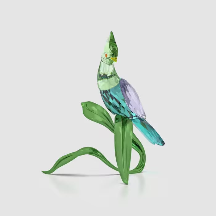 Idyllia Green Turaco 5693147