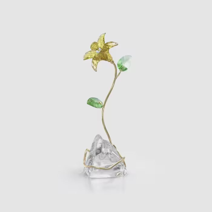 Florere Lily 5666972