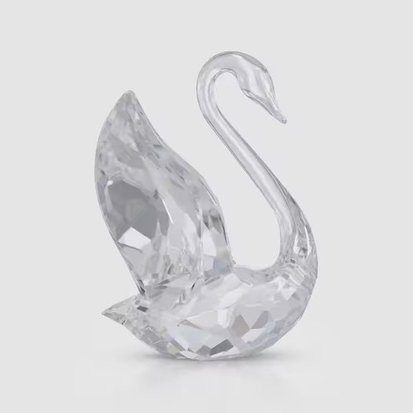 Signum Swan, Medium