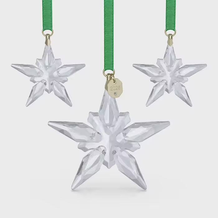 Annual Edition Ornament Set 2025 5701854