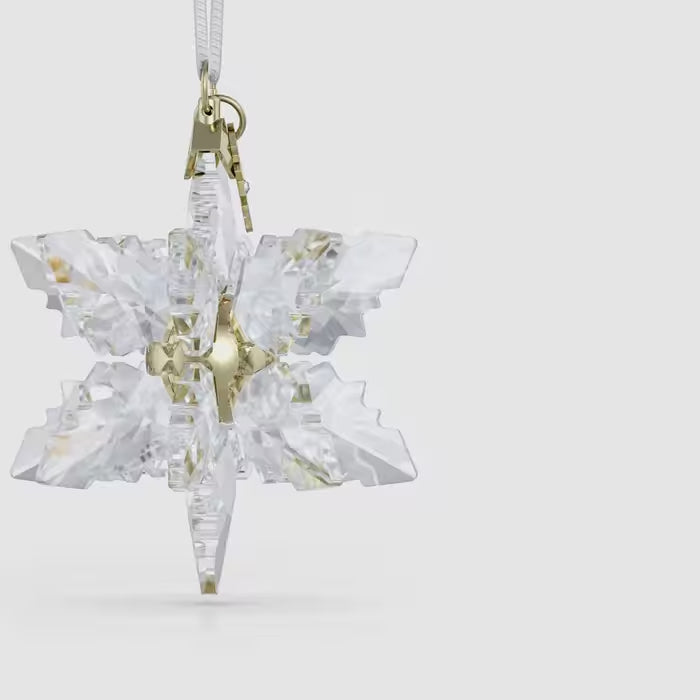 Annual Edition 3D Ornament 2024 5674347