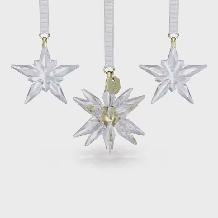 Annual Edition 3D Ornament Set 2025 5701628