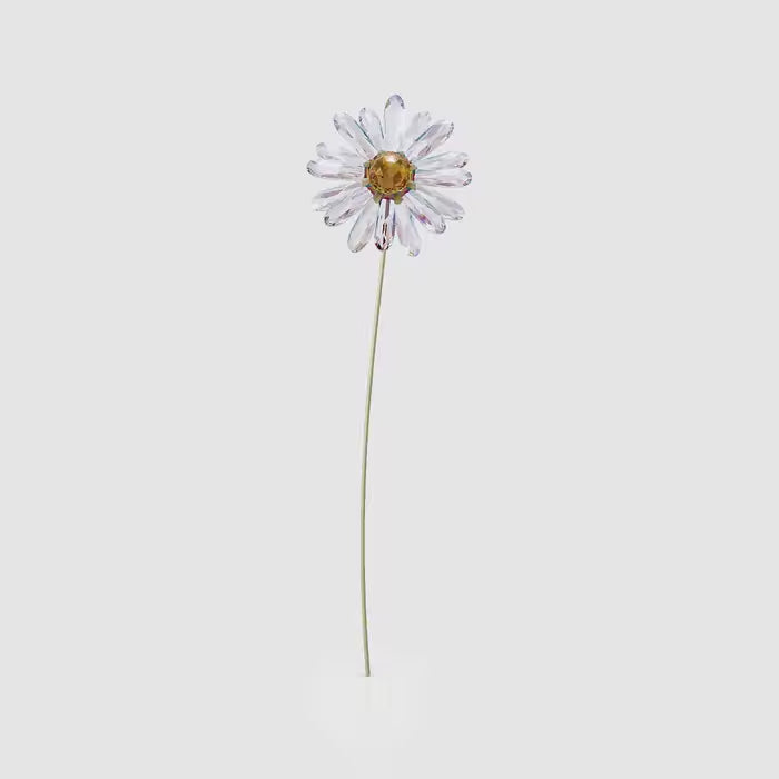 Garden Tales Daisy 5619221