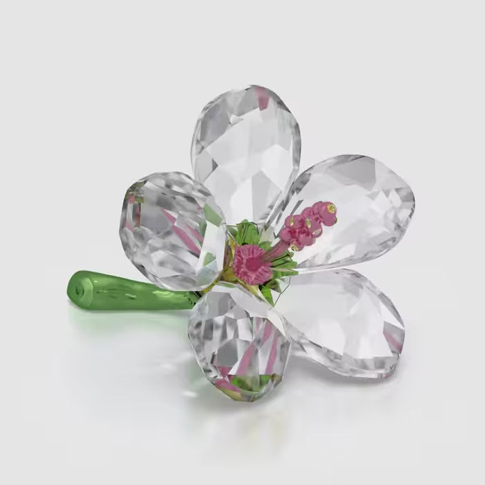 Florere Hibiscus Small 5690534