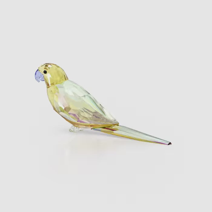 Jungle Beats Yellow Parakeet Lechee 5619217