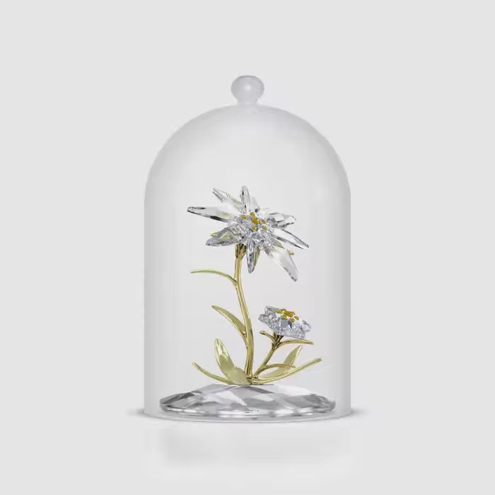 Florere 130th Anniversary Bell Jar 5701376