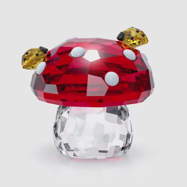 Idyllia Mushroom and Ladybugs