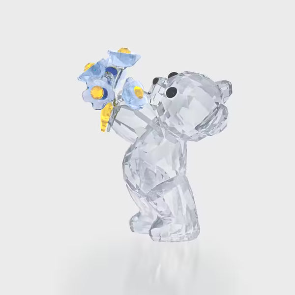 Kris Bear - Forget-me-not